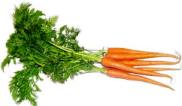 Urban Wolf contains carrots, high in beta carotene