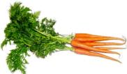 Carrots