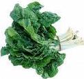 Swiss Chard